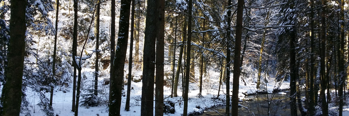 Header Neukirchen 035