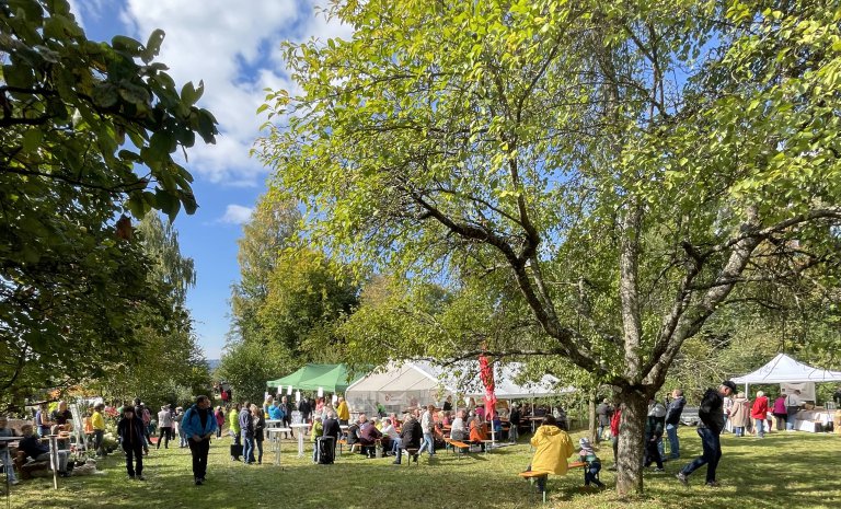 Schmankerlmarkt 2025