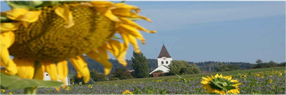 Header Hunderdorf 021 (Sonnenblume Kirche)