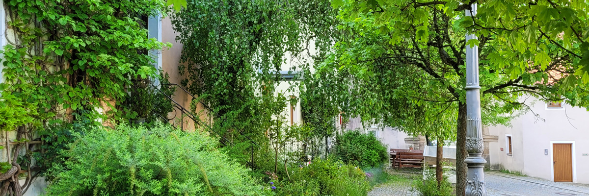 Header Windberg 006 (dorfplatz)